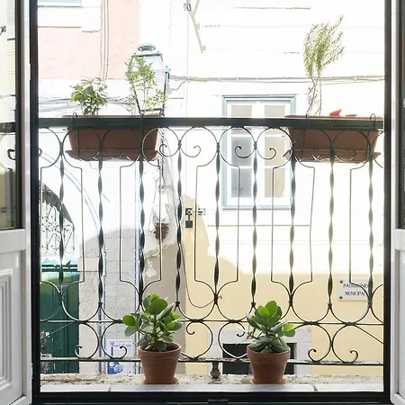 Santos Typical And Cosy 아파트 *